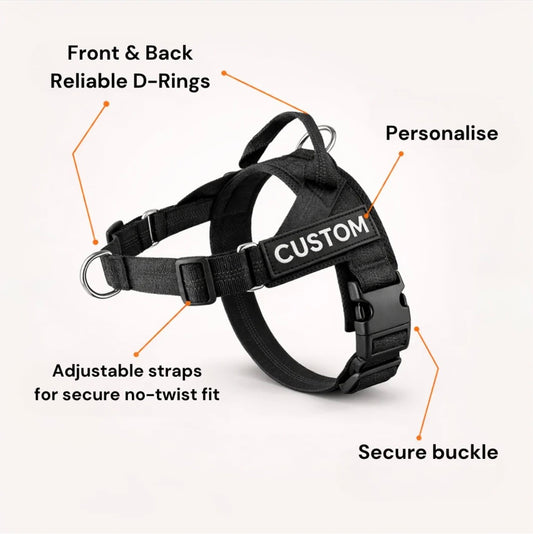 No-Pull Dog Harness