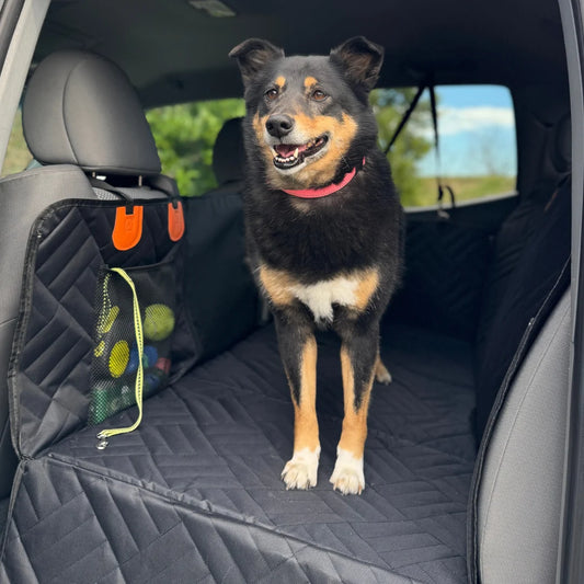 Dog Car Seat Cover – Waterproof