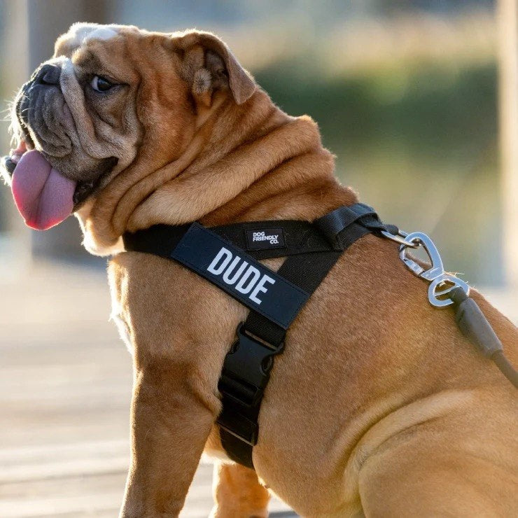 No-Pull Dog Harness